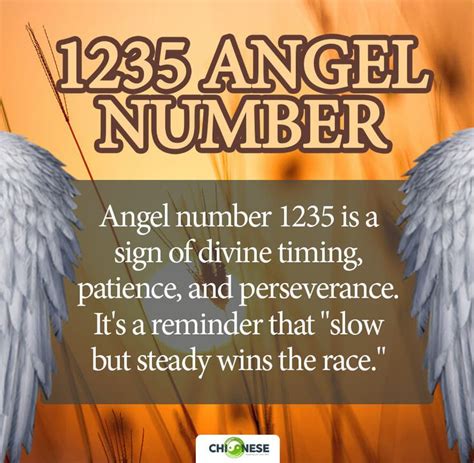 1235 angel number twin flame|1235 Angel Number Meaning in Twin Flame, Love and Career